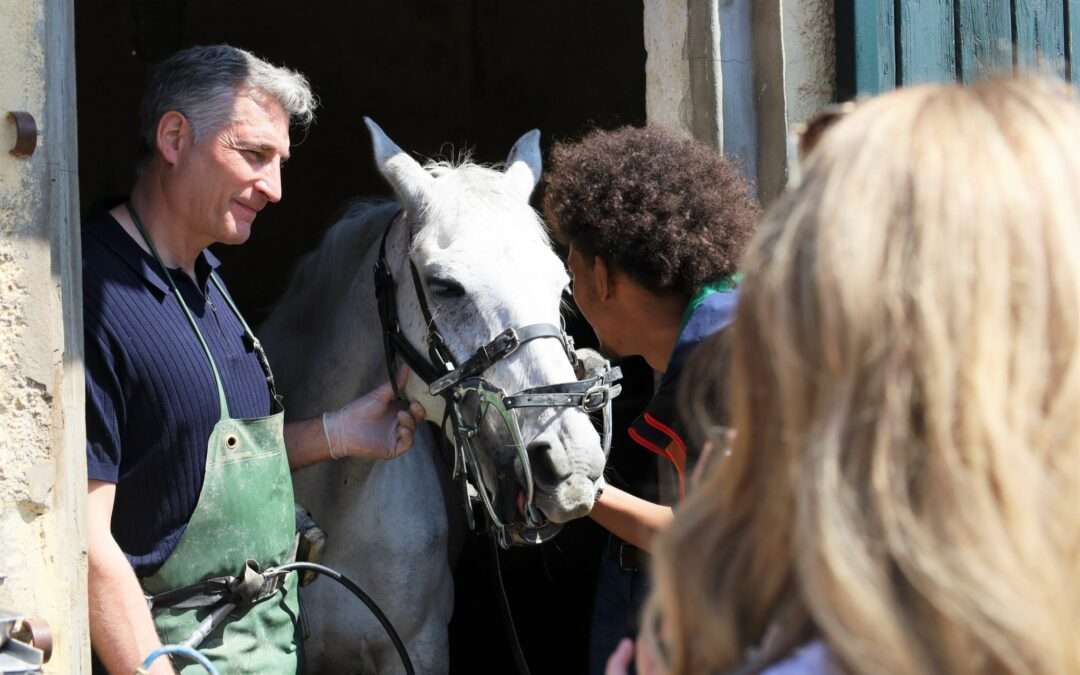🐎 Équitation et réinsertion : une rencontre inspirante au Touquet