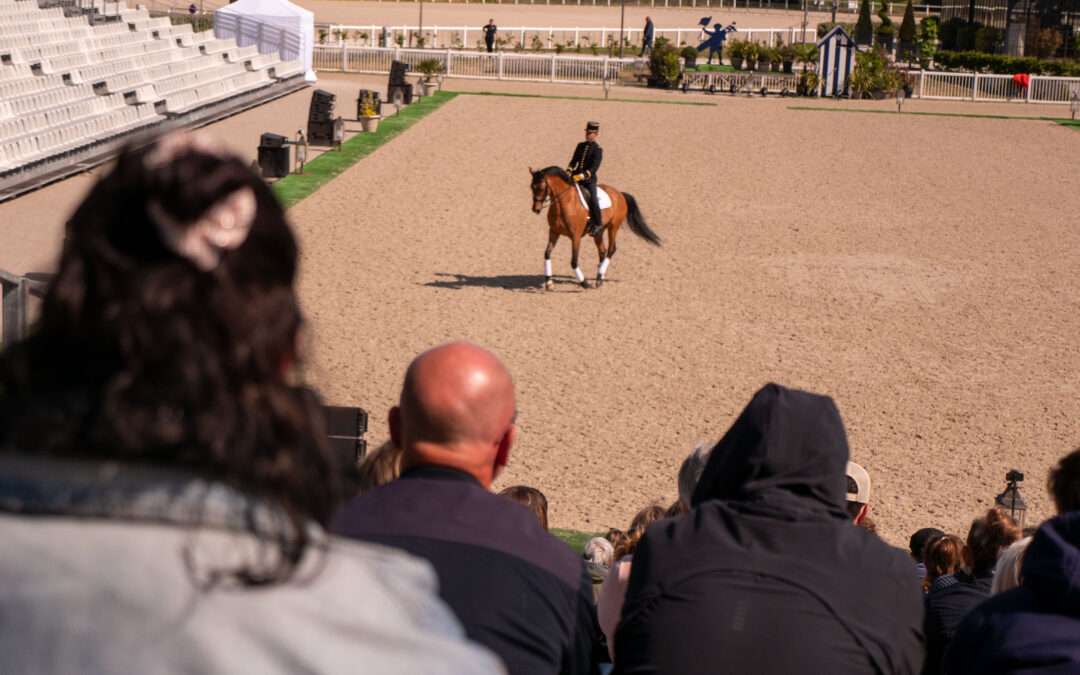 🐴 Une rencontre inoubliable entre jeunes sous protection judiciaire et les écuyers du Cadre Noir de Saumur
