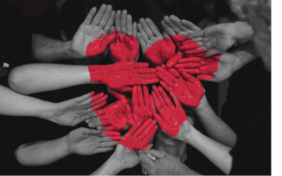 Bilan 2025 : quand la gourmandise devient un moteur de solidarité